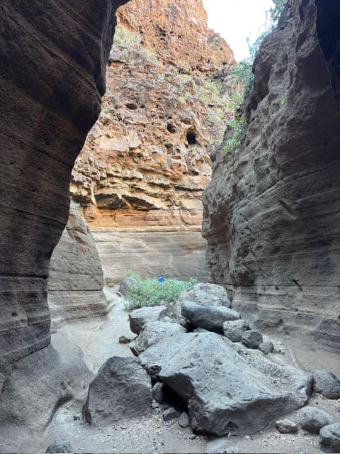 Der Barranco de Las Vacas in den frühen Morgenstunden; wenn die Sonne den Boden erreicht, entstehen hier die schönsten Fotokulissen.