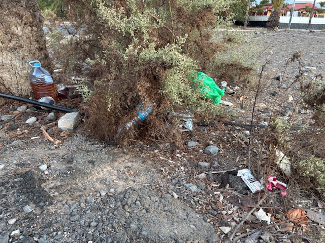Das Müllproblem auf Gran Canaria ist kein reines Phänomen der Touristenmassen. Es ist primär ein hausgemachtes Problem: Mangelndes Umweltbewusstsein und eine sorglose Haltung vor Ort blockieren den Wandel.
